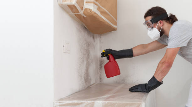 Professional Crawl Space Mold Remediation technician working in Elm City, NC