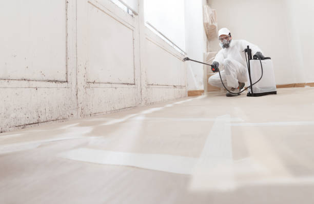 24/7 Emergency Crawl Space Mold Remediation experts in Elm City, NC